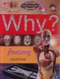 Why? Anatomy