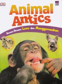 Animal Antics (Hewan - hewan lucu dan menggemaskan)