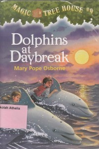 Dolphins at Daybreak