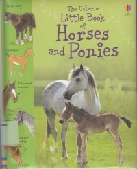 Little book of horses and ponies