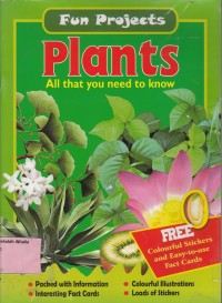 Plants: all that you need to know