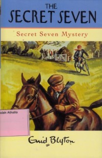 Secret seven mystery