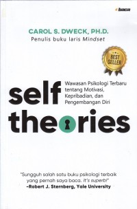 Self Theories