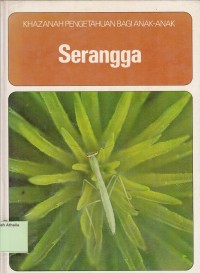 Serangga