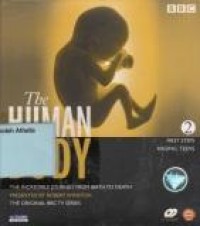 The human body jil.2