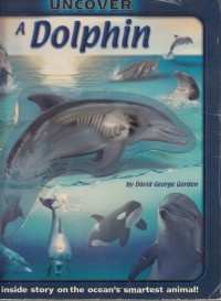 Uncover : A Dolphin