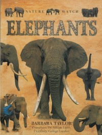 Elephants