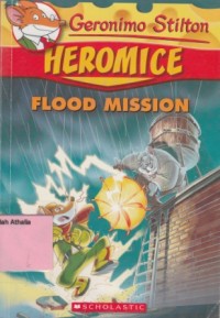 Flood Mission