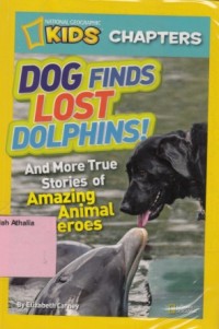 Dog finds lost dolphins!: and more true stories of amazing heroes