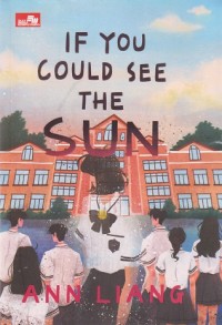 If You Could See the Sun